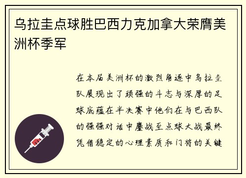 乌拉圭点球胜巴西力克加拿大荣膺美洲杯季军